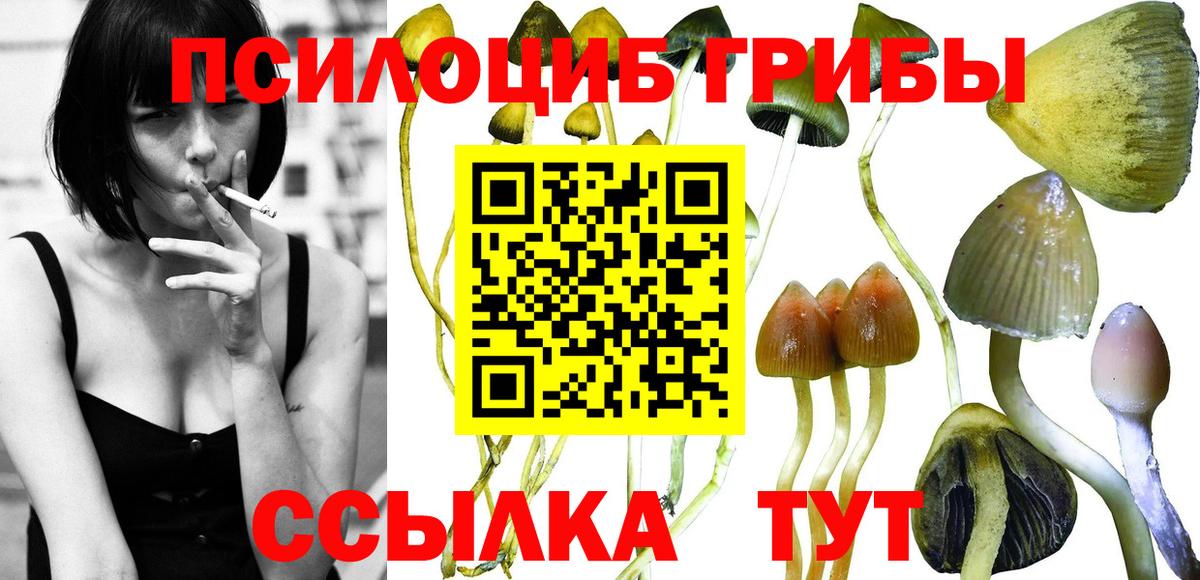 Галлюциногенные грибы MAGIC MUSHROOMS Черкесск