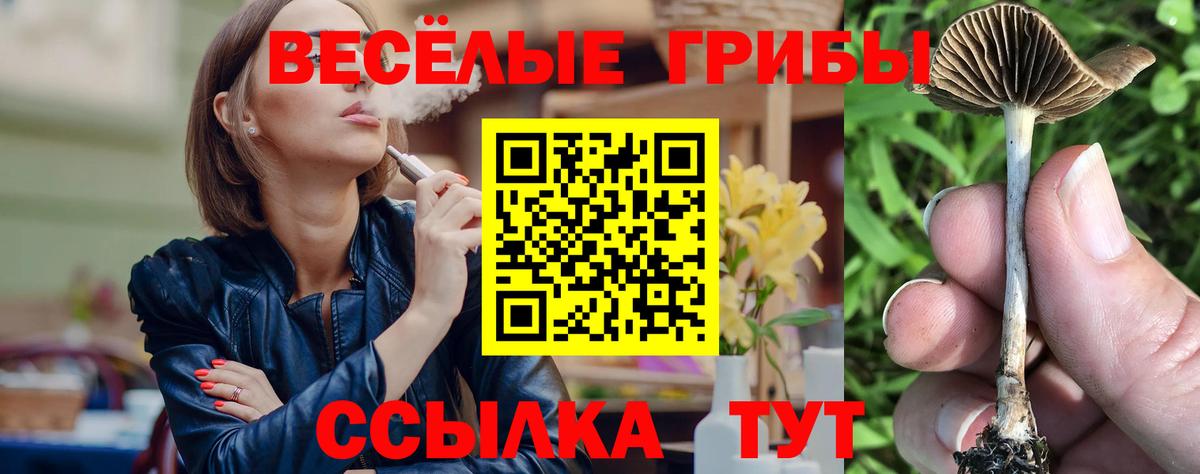 Черкесск  Галлюциногенные грибы Magic Shrooms  Псилоцибиновые грибы ЛСД  Вход с VPN 